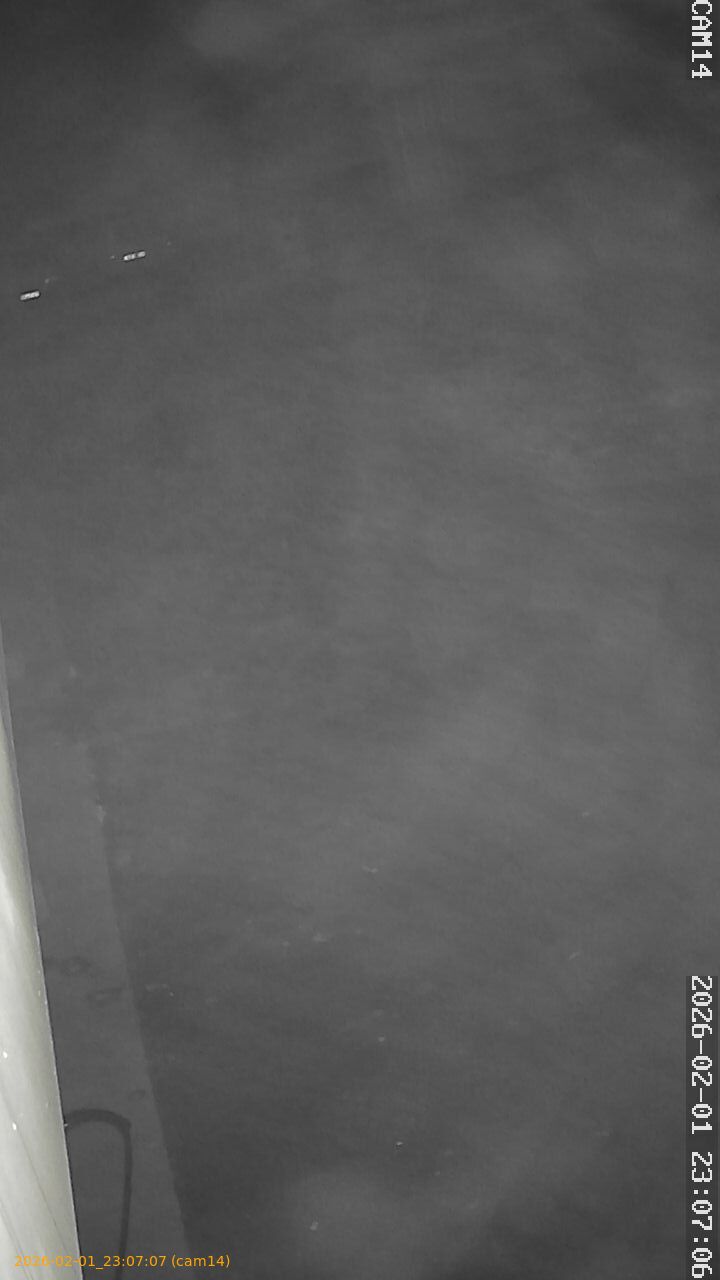 thumbnail_20260201230707