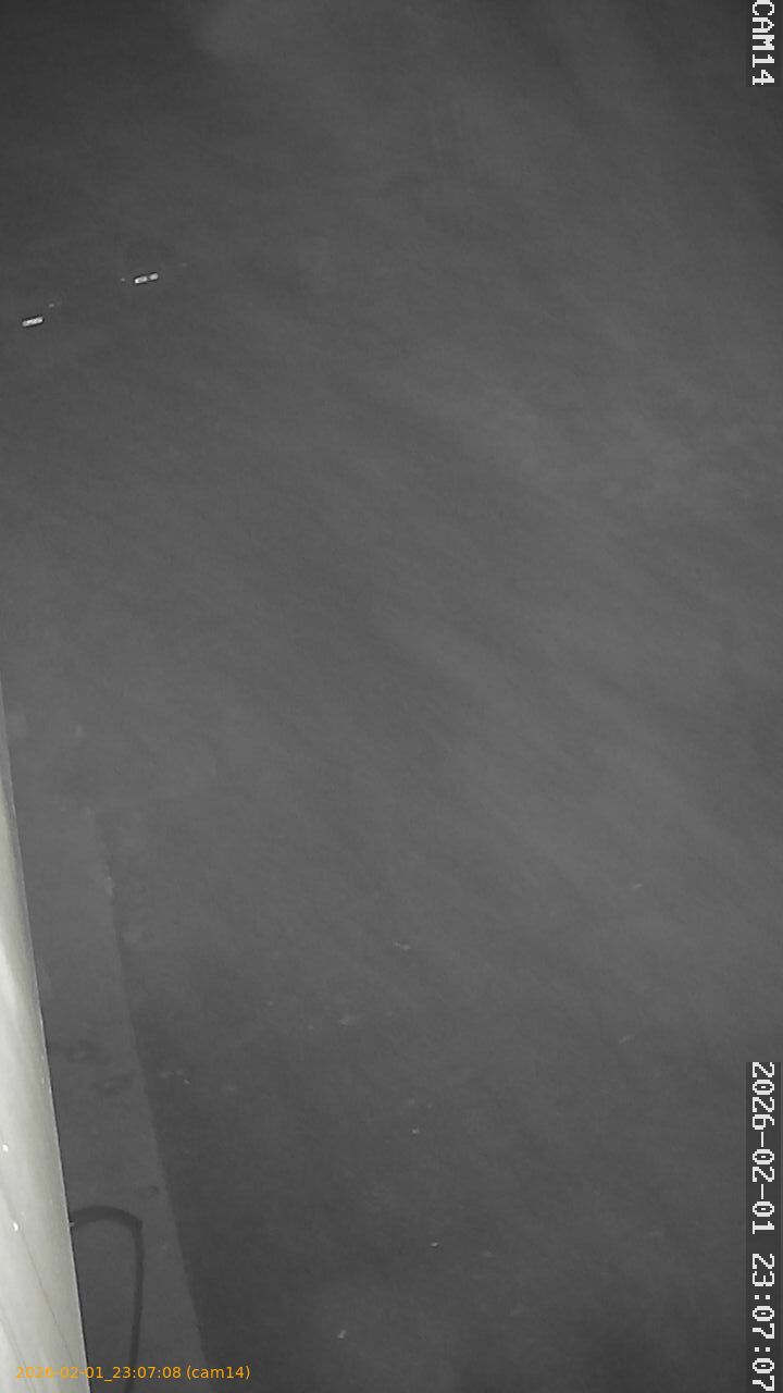 thumbnail_20260201230708