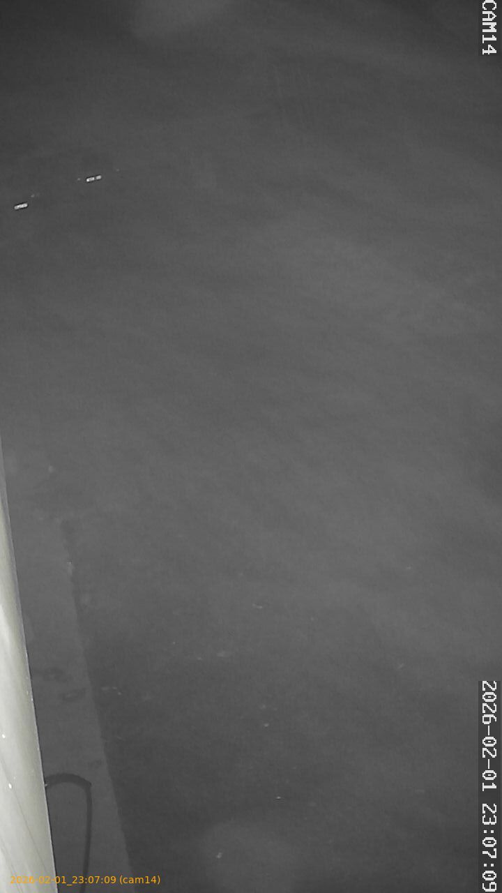 thumbnail_20260201230709