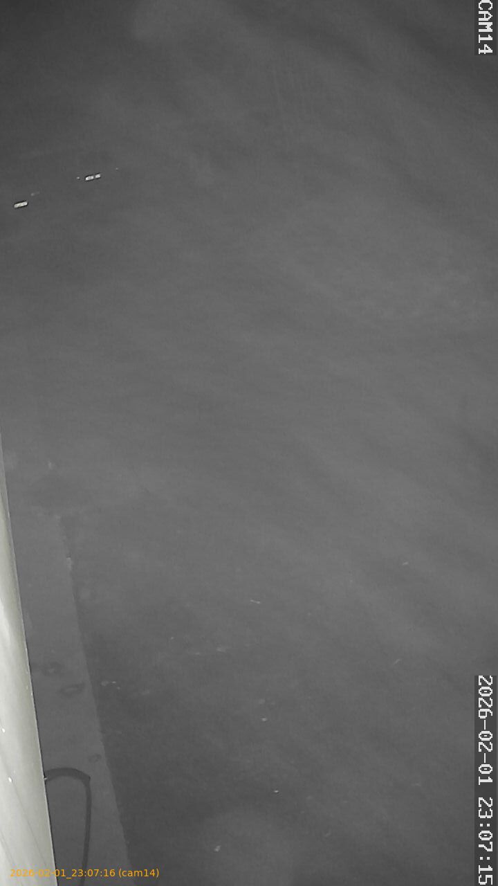 thumbnail_20260201230716