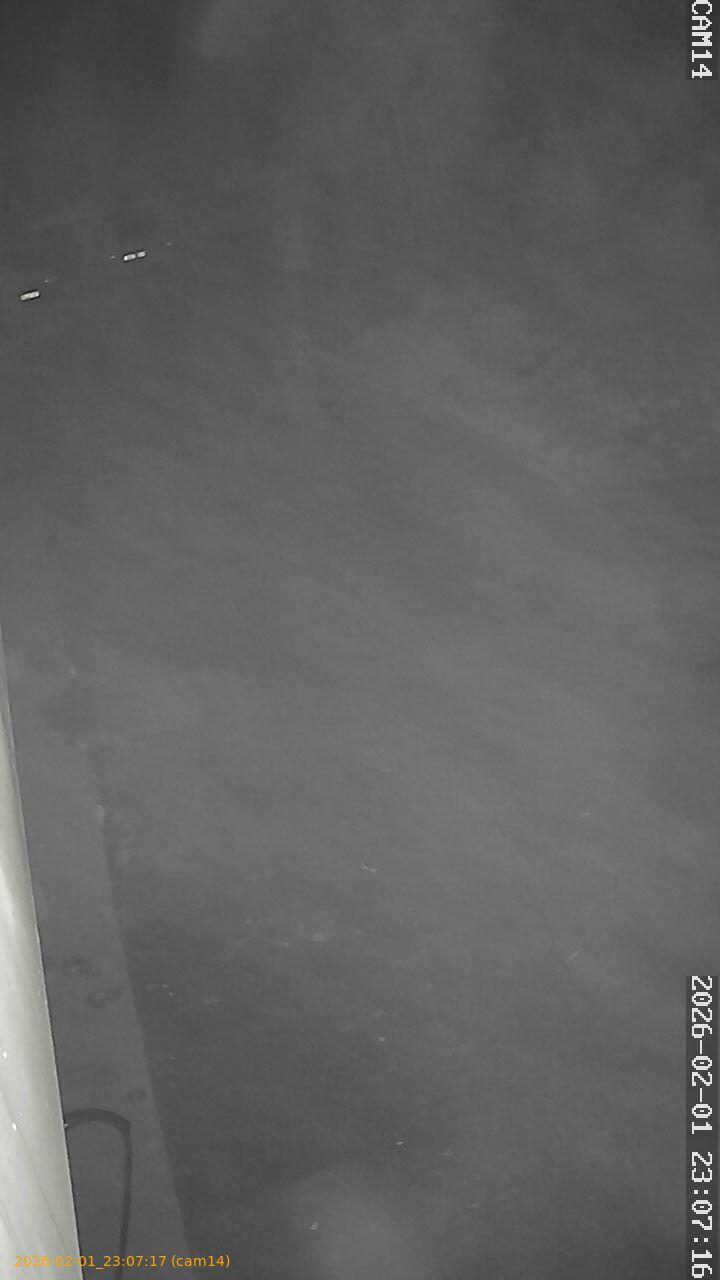 thumbnail_20260201230717