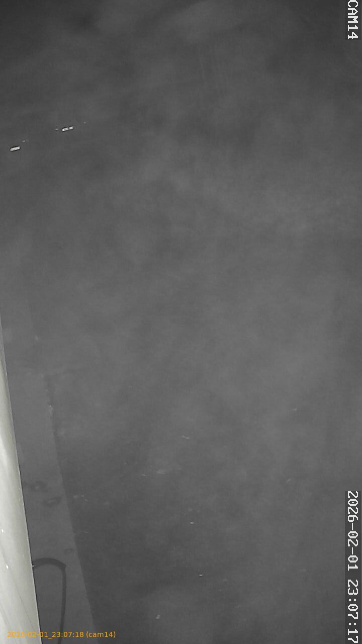 thumbnail_20260201230718