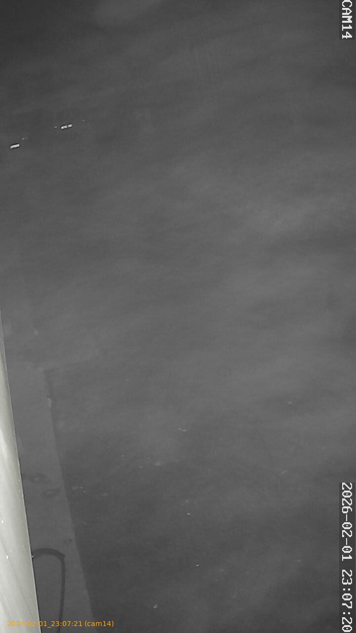 thumbnail_20260201230721