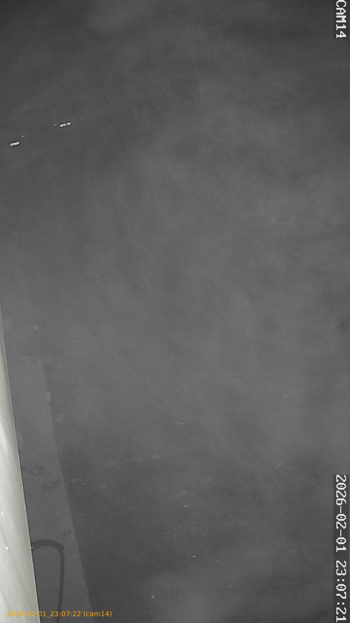 thumbnail_20260201230722