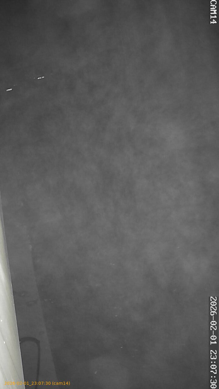 thumbnail_20260201230730