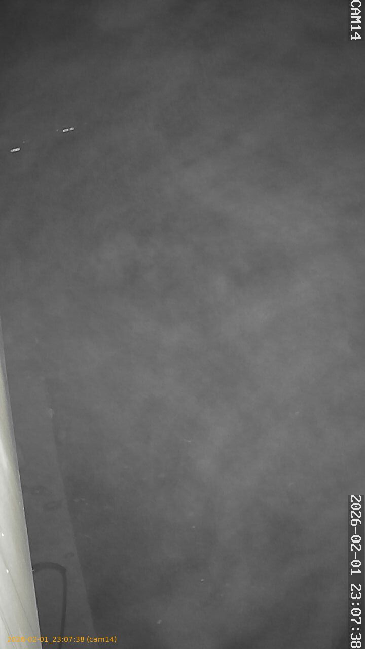 thumbnail_20260201230738