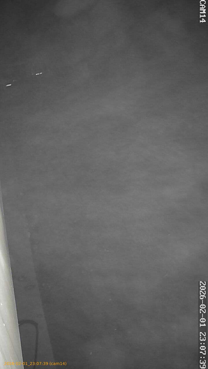 thumbnail_20260201230739