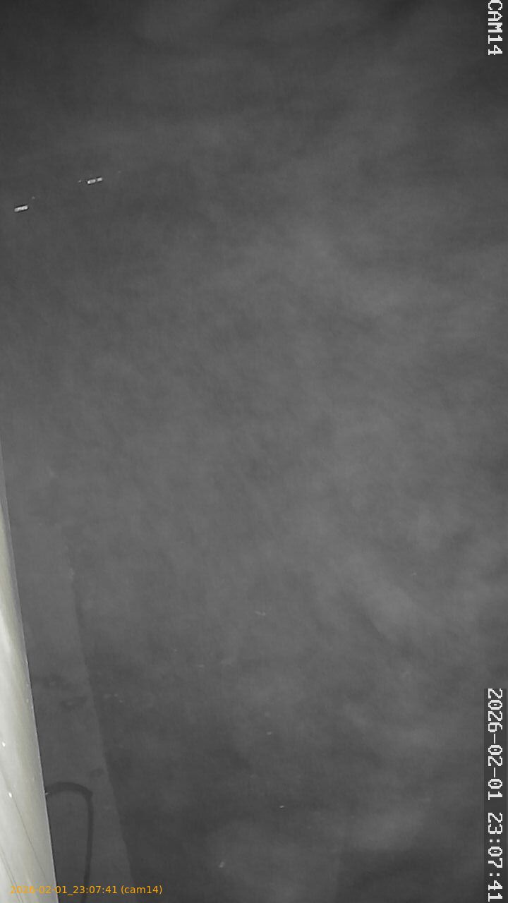 thumbnail_20260201230741