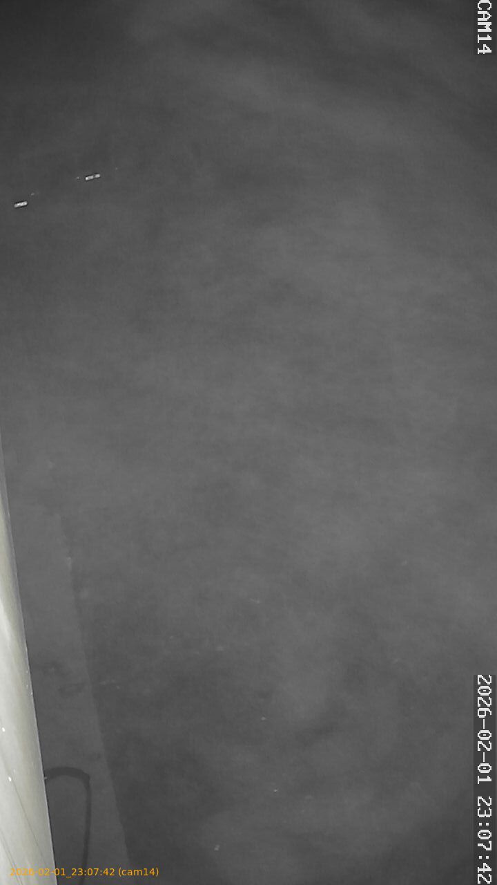 thumbnail_20260201230742