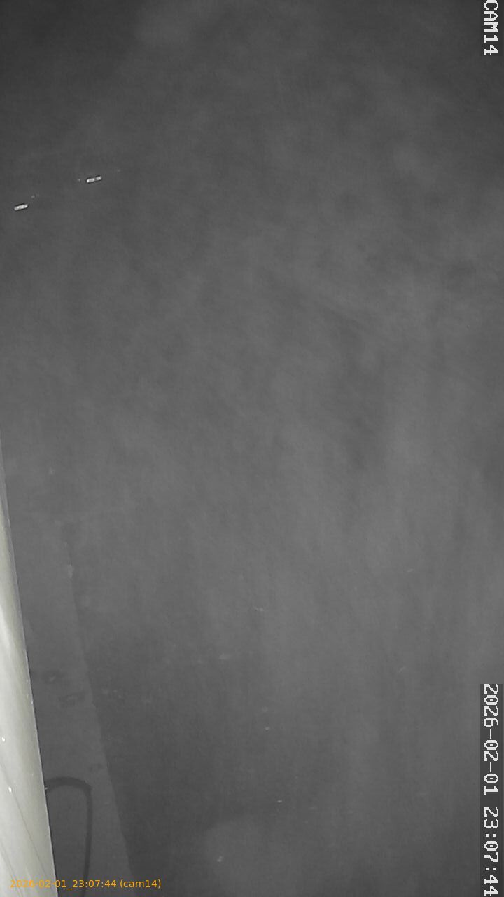 thumbnail_20260201230744