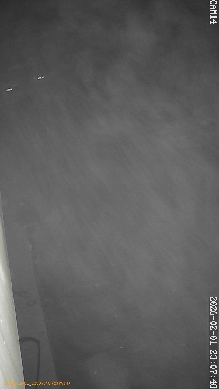 thumbnail_20260201230748