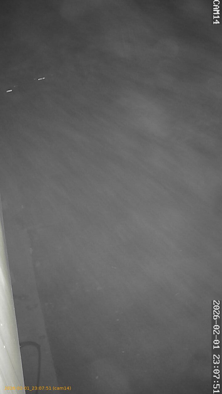 thumbnail_20260201230751