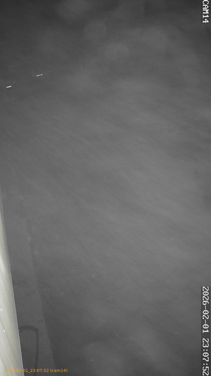 thumbnail_20260201230752