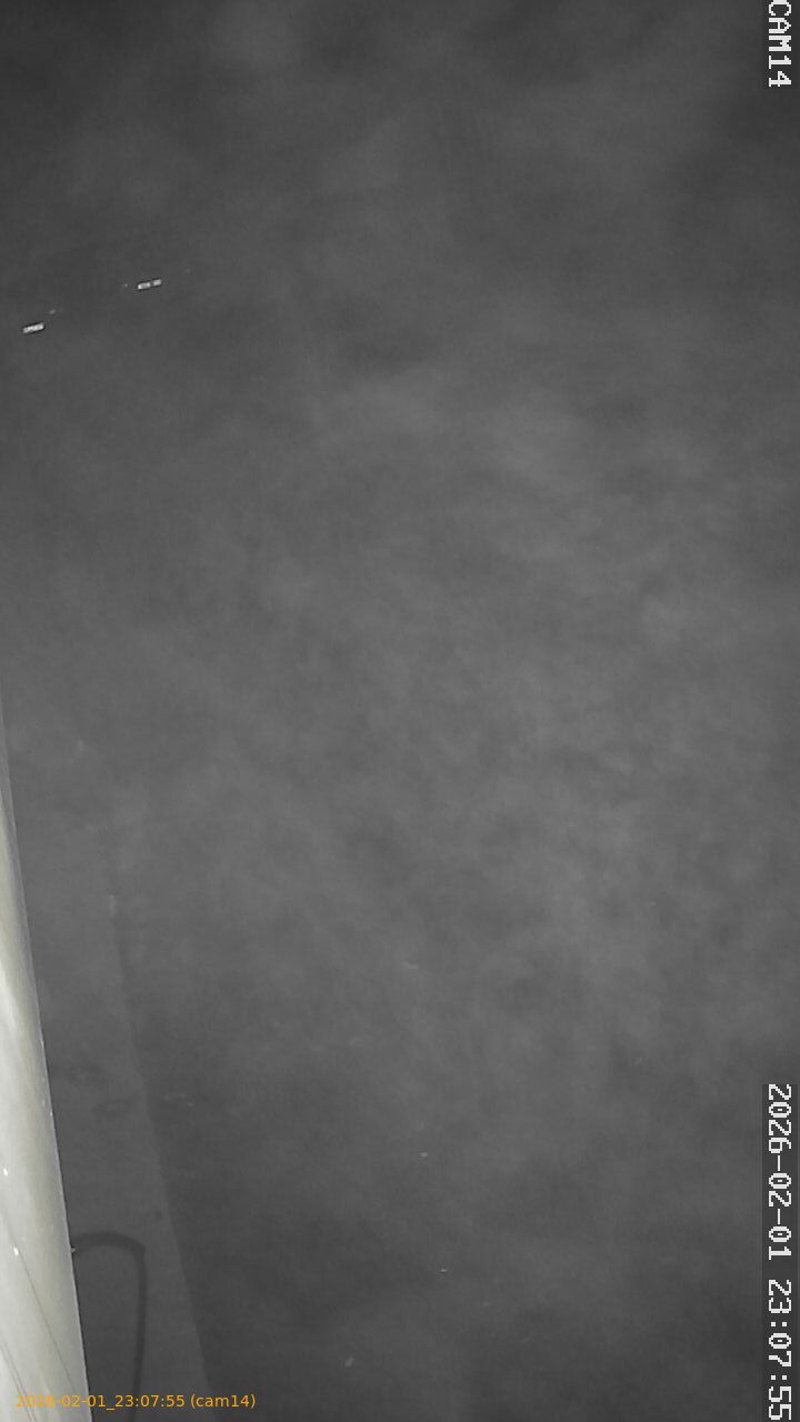 thumbnail_20260201230755