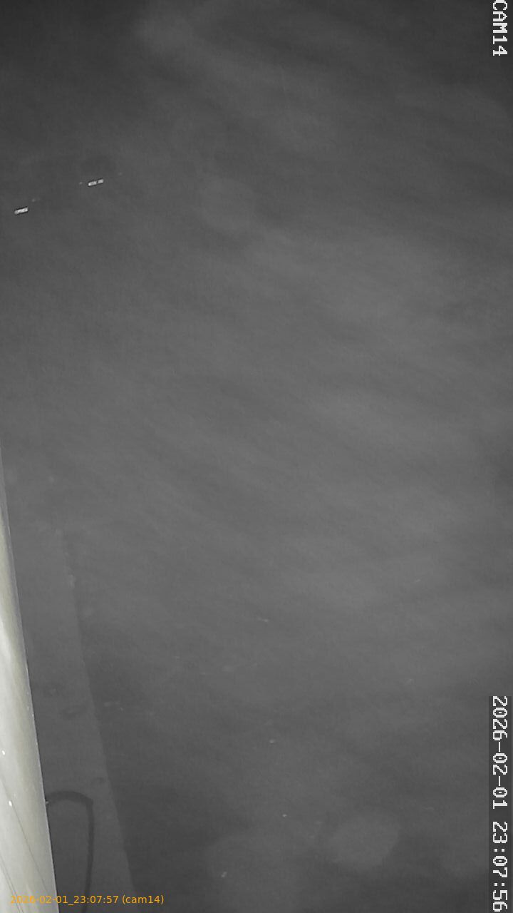 thumbnail_20260201230756