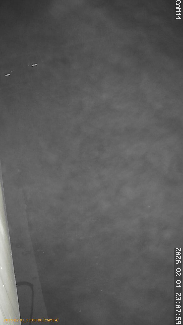 thumbnail_20260201230800