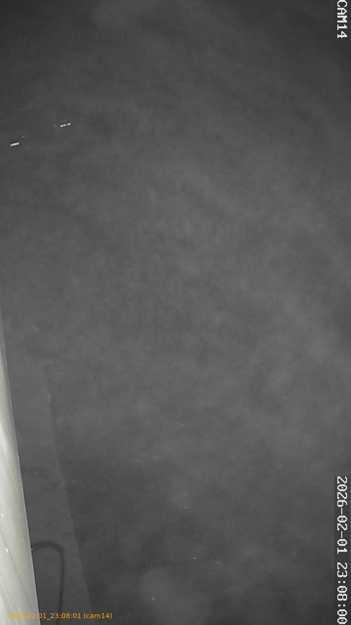 thumbnail_20260201230801