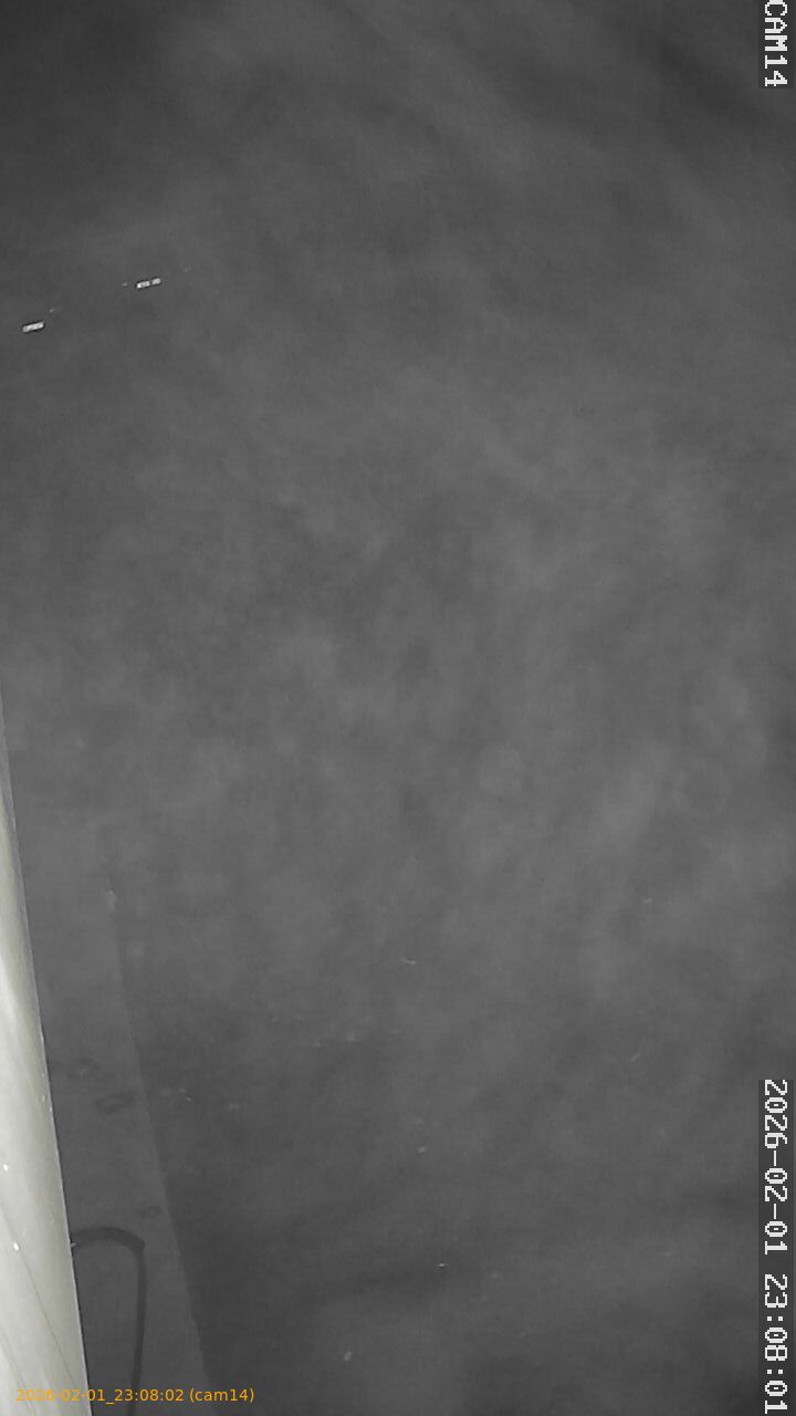 thumbnail_20260201230802