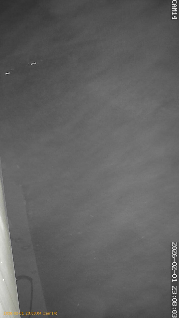 thumbnail_20260201230804