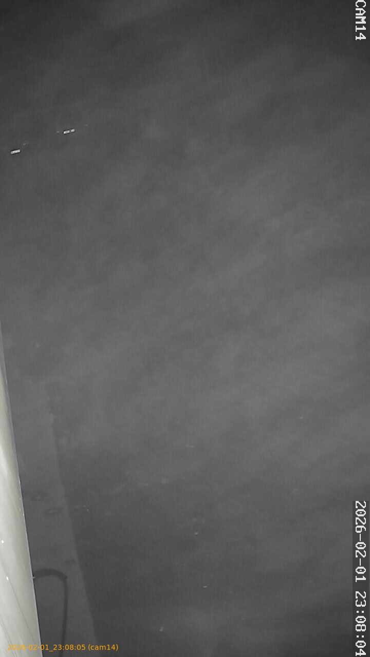 thumbnail_20260201230805