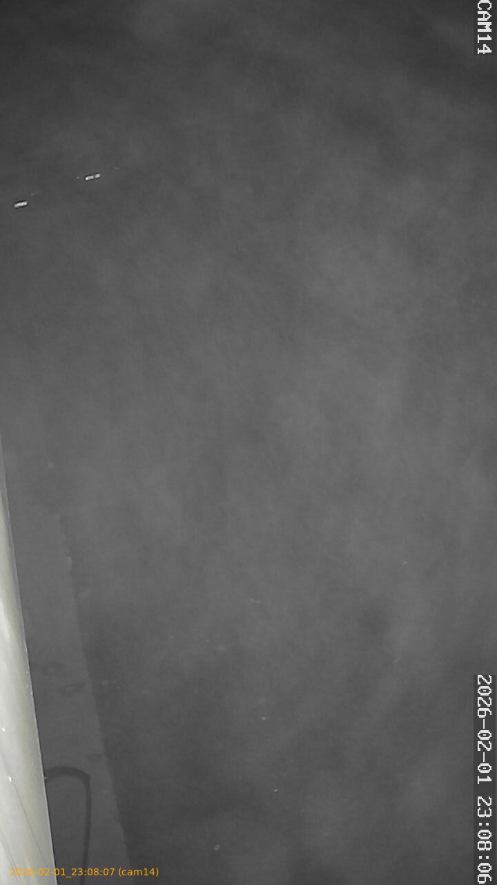 thumbnail_20260201230807