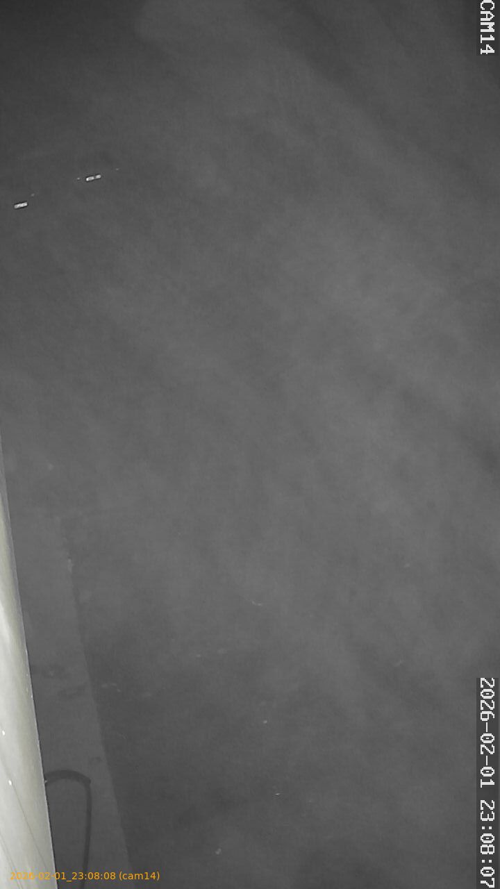 thumbnail_20260201230808