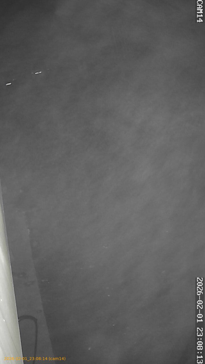 thumbnail_20260201230814