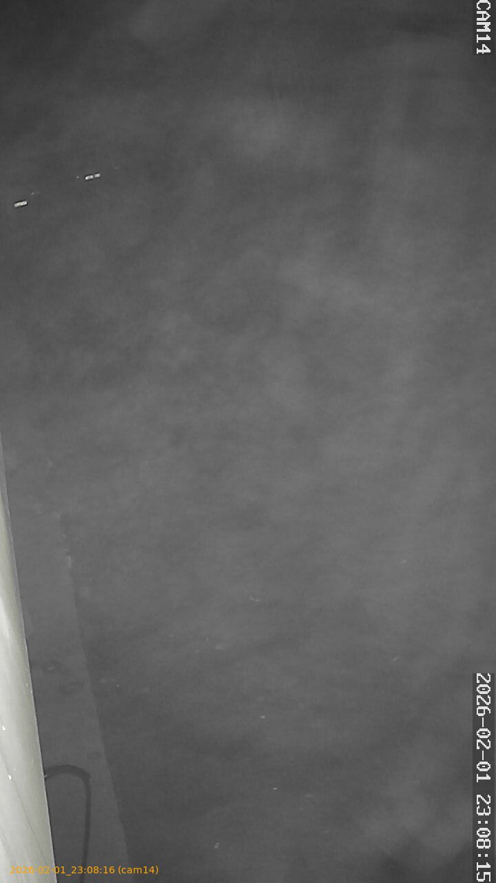 thumbnail_20260201230816