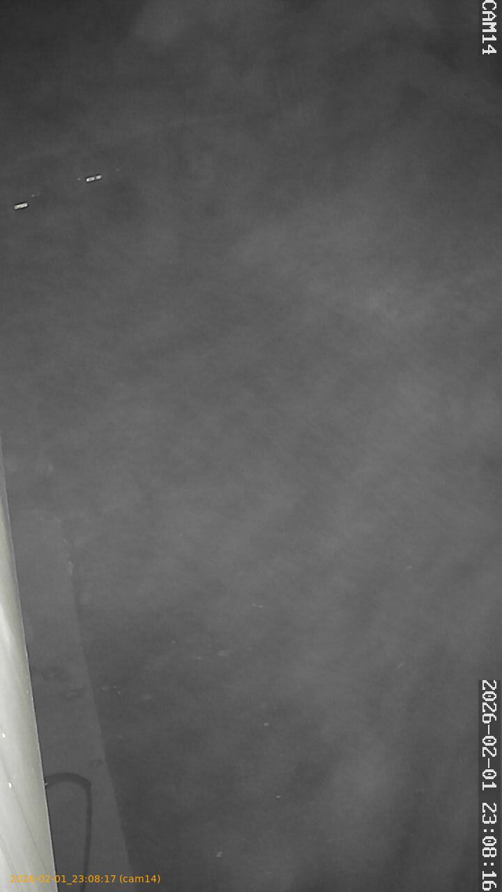 thumbnail_20260201230817