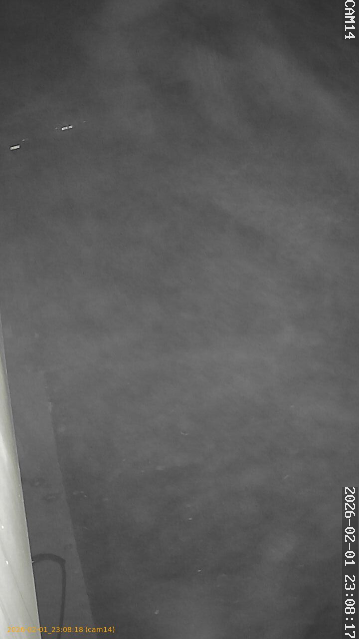 thumbnail_20260201230818