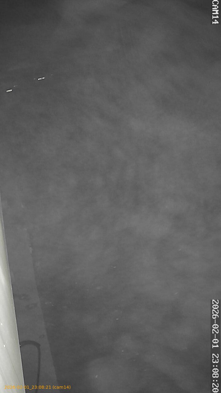 thumbnail_20260201230821