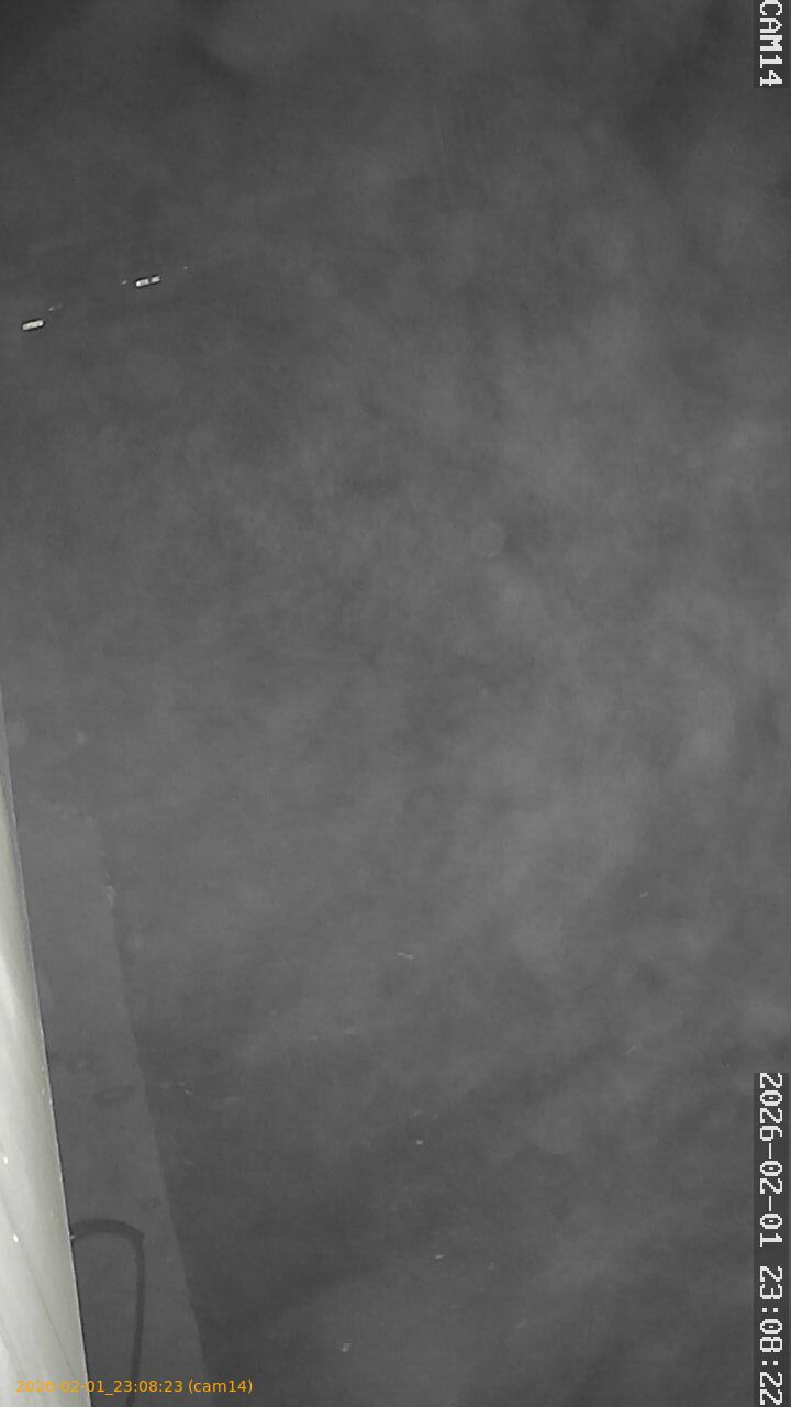 thumbnail_20260201230823