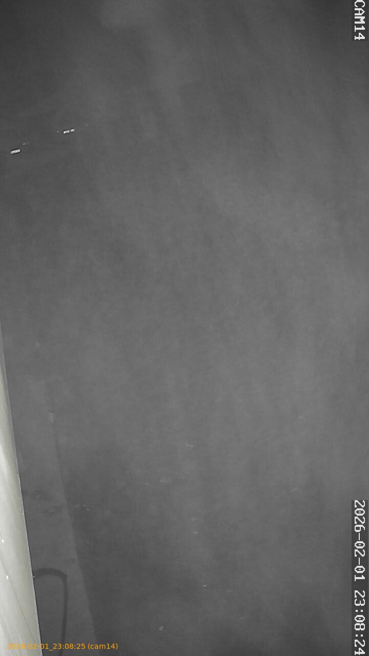 thumbnail_20260201230825