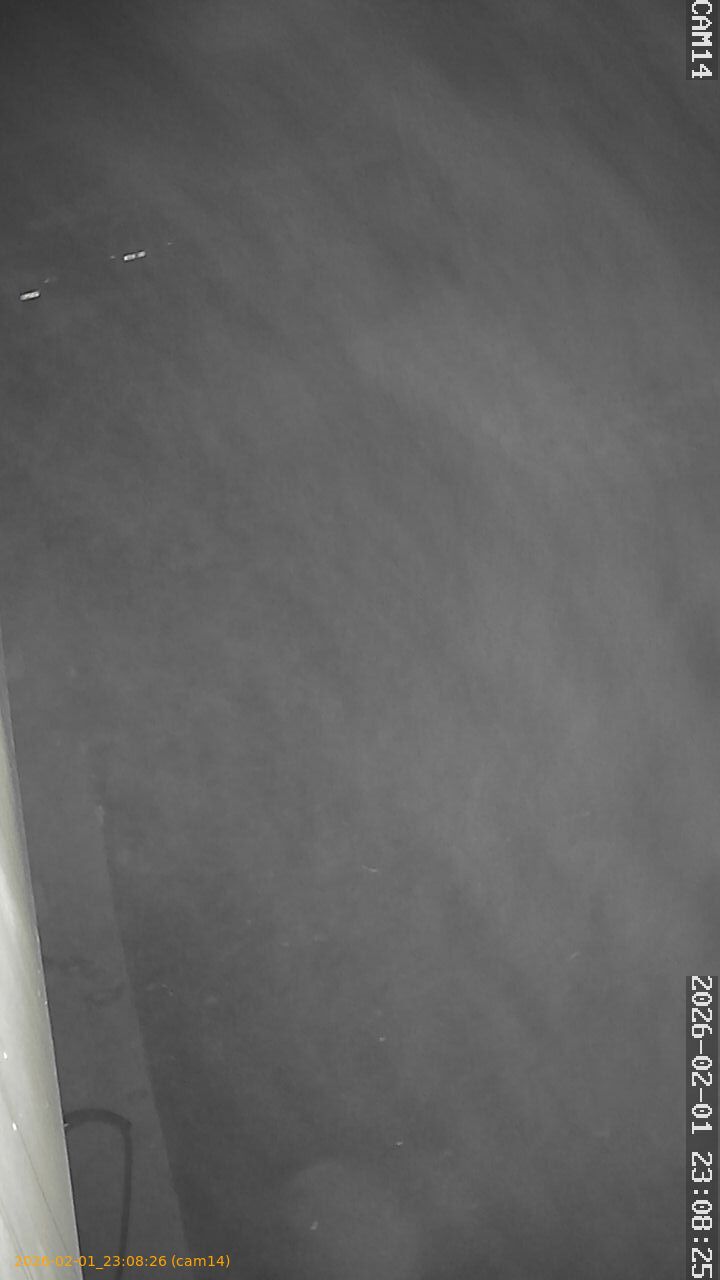 thumbnail_20260201230826