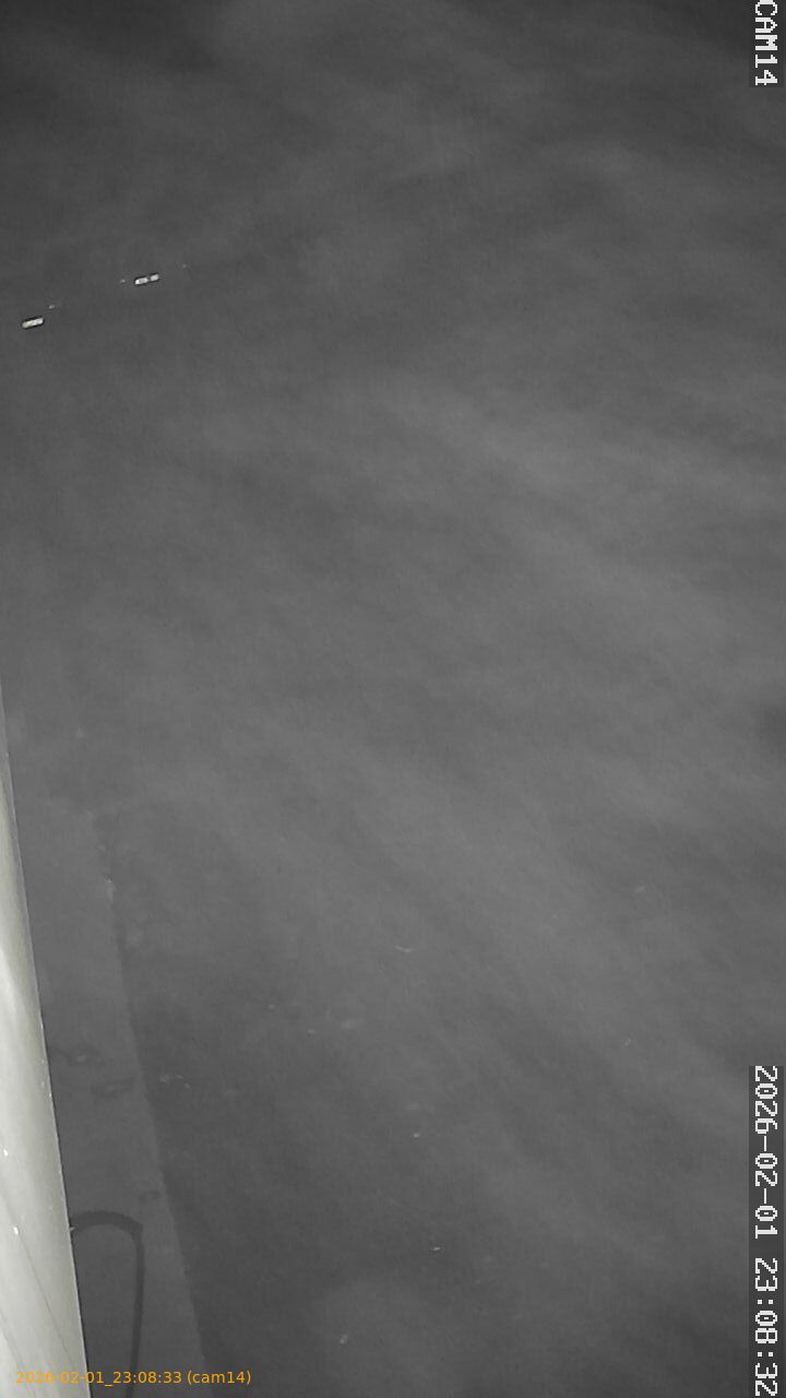 thumbnail_20260201230833