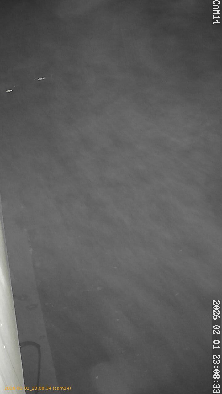 thumbnail_20260201230834