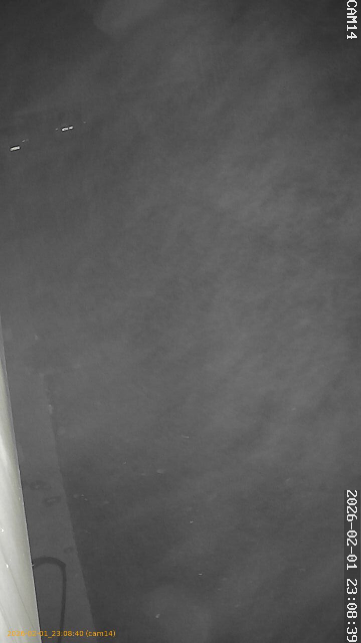 thumbnail_20260201230840