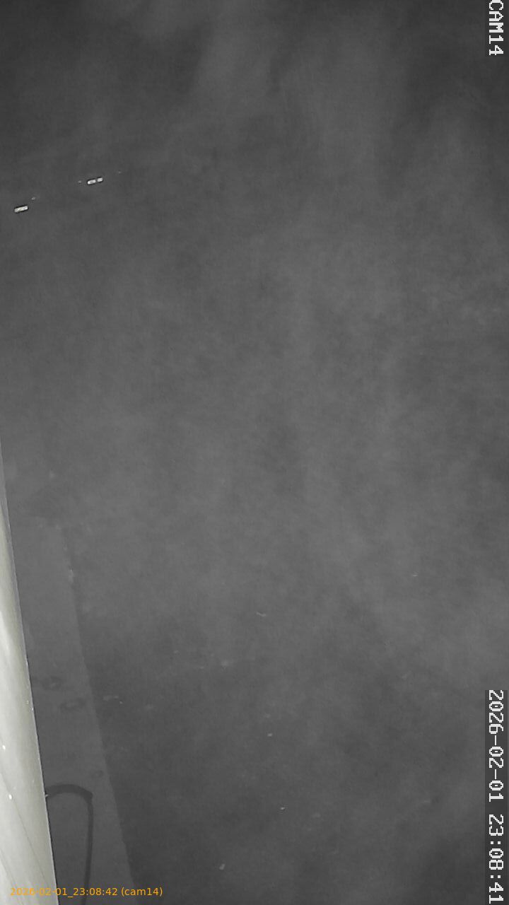 thumbnail_20260201230842