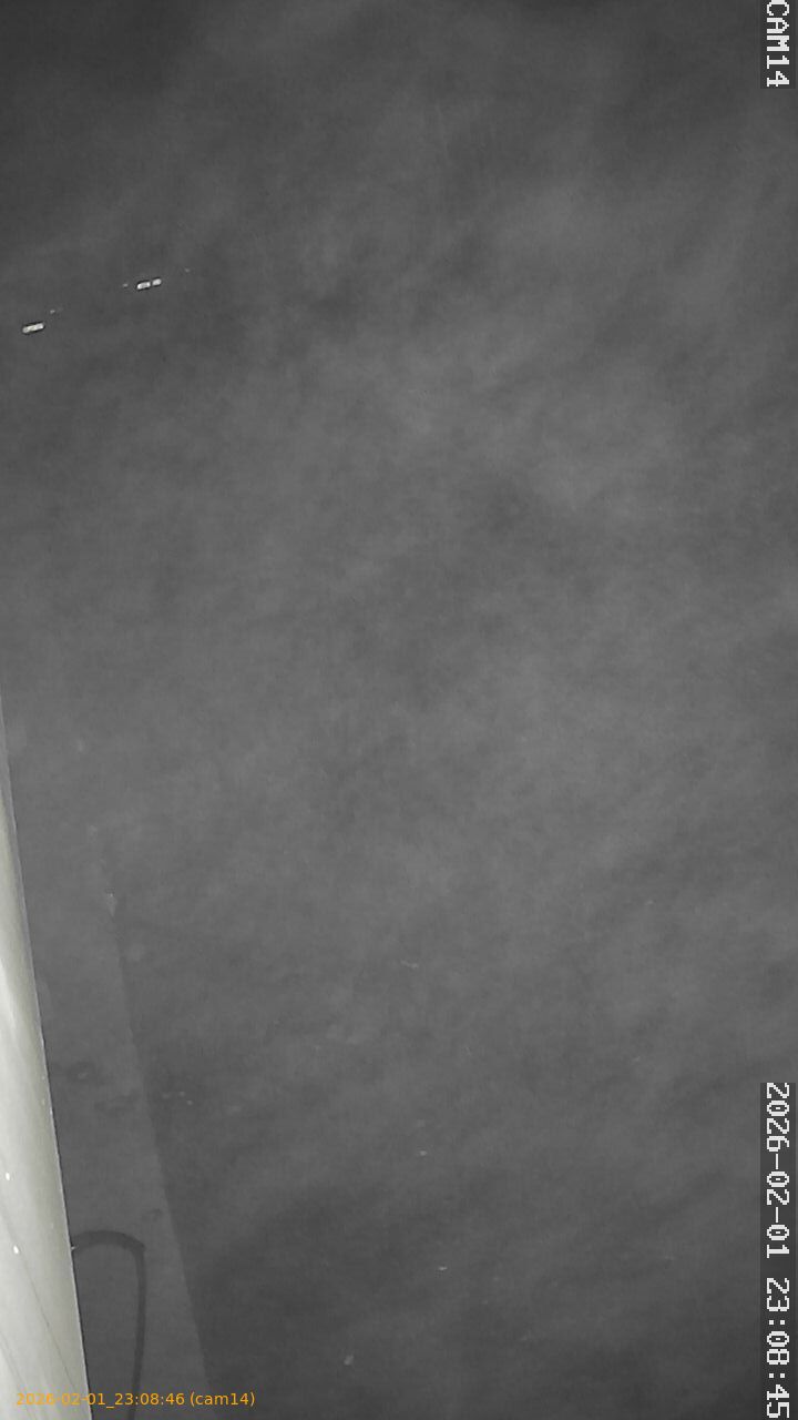 thumbnail_20260201230846