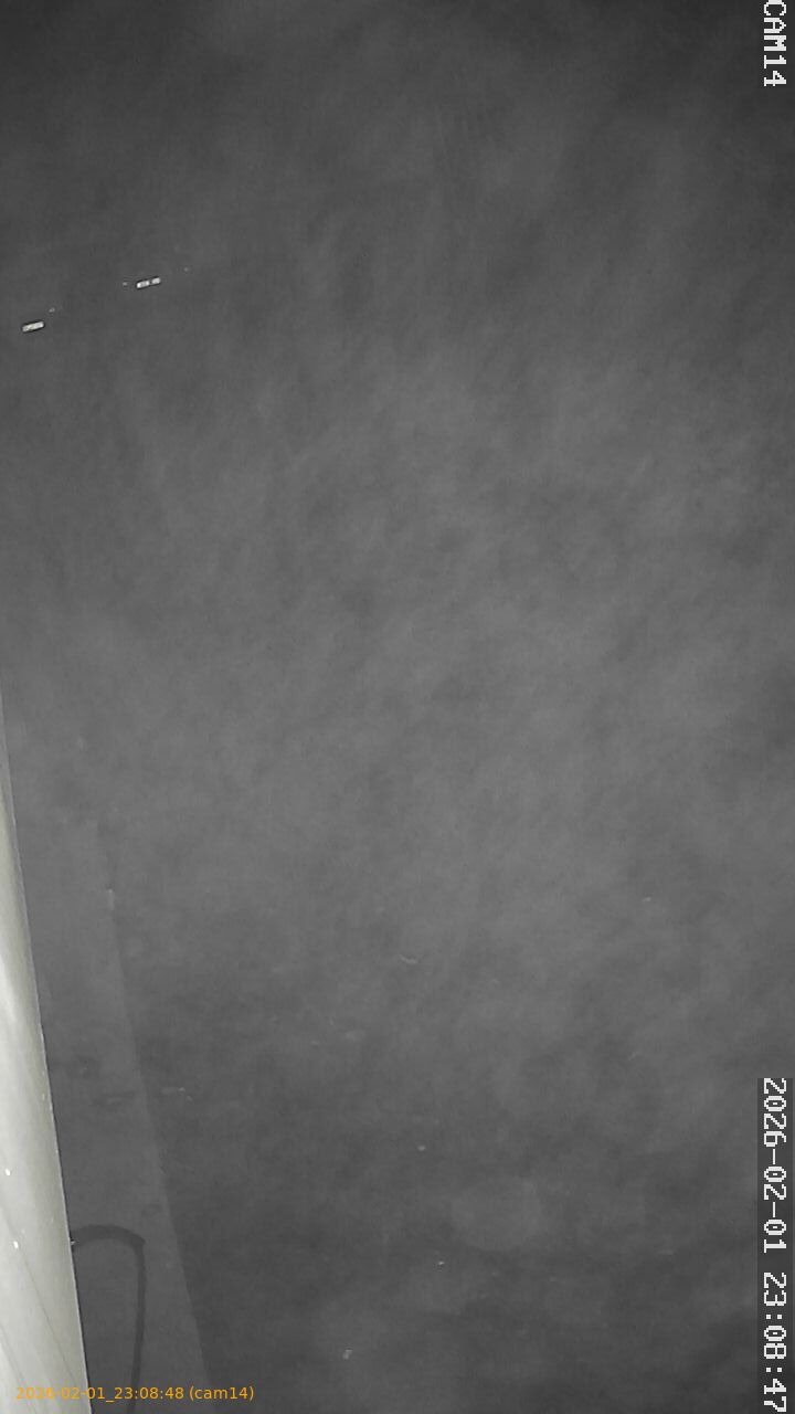 thumbnail_20260201230848