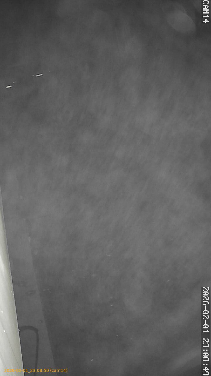 thumbnail_20260201230850