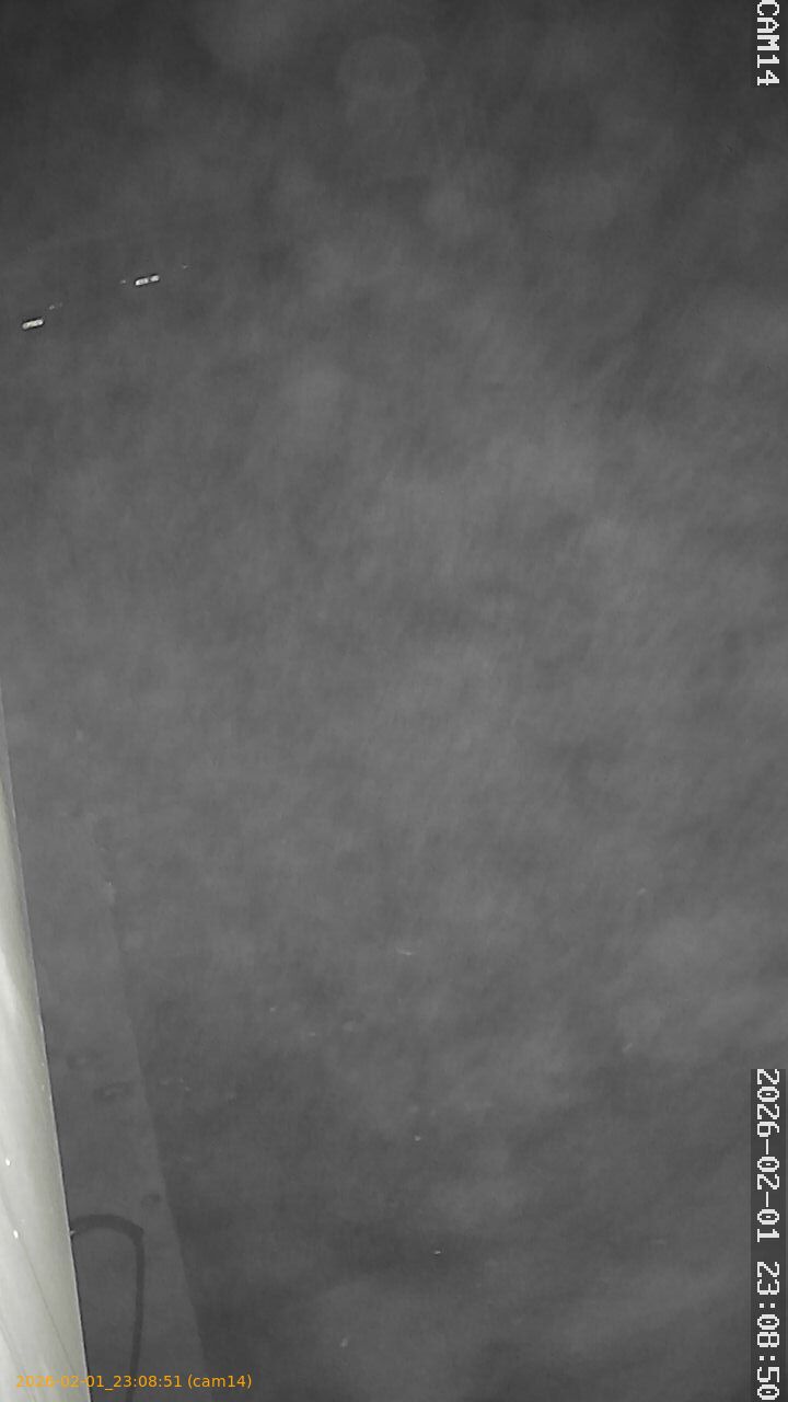 thumbnail_20260201230851