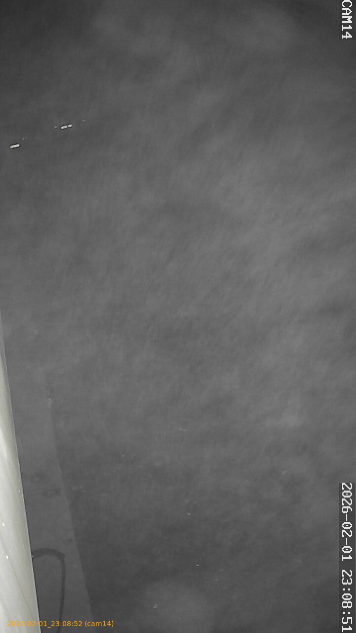 thumbnail_20260201230852