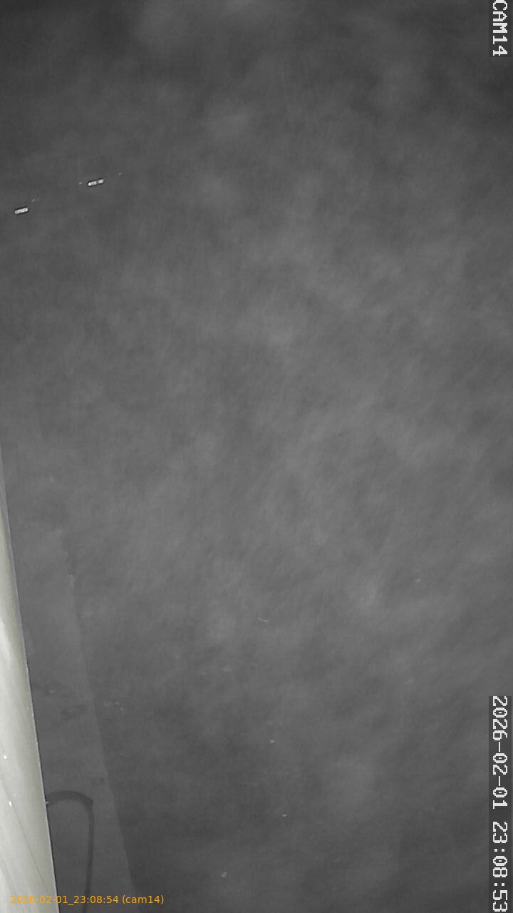 thumbnail_20260201230854