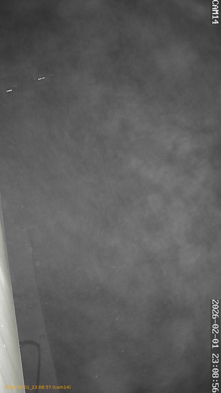 thumbnail_20260201230857