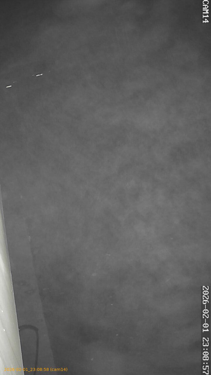 thumbnail_20260201230858