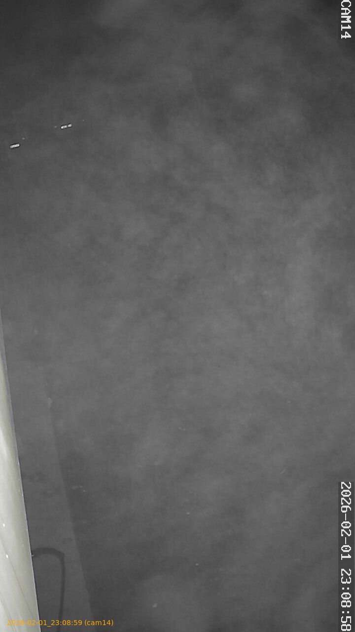 thumbnail_20260201230859