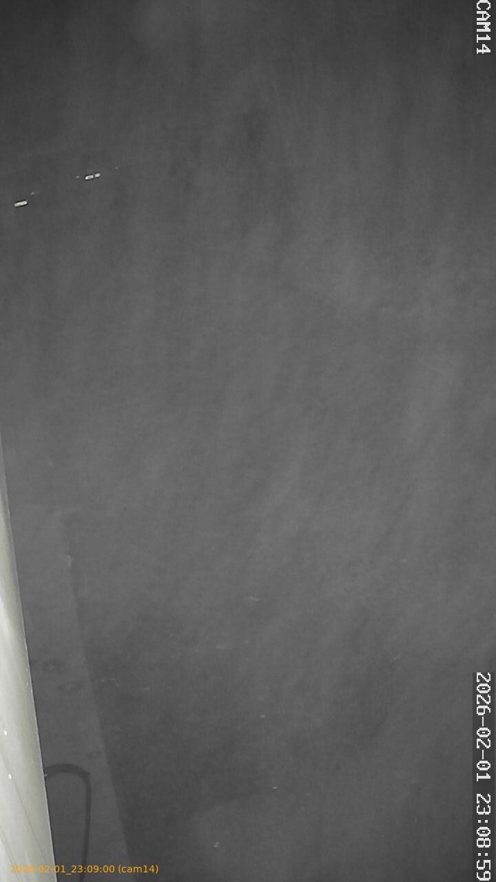 thumbnail_20260201230900