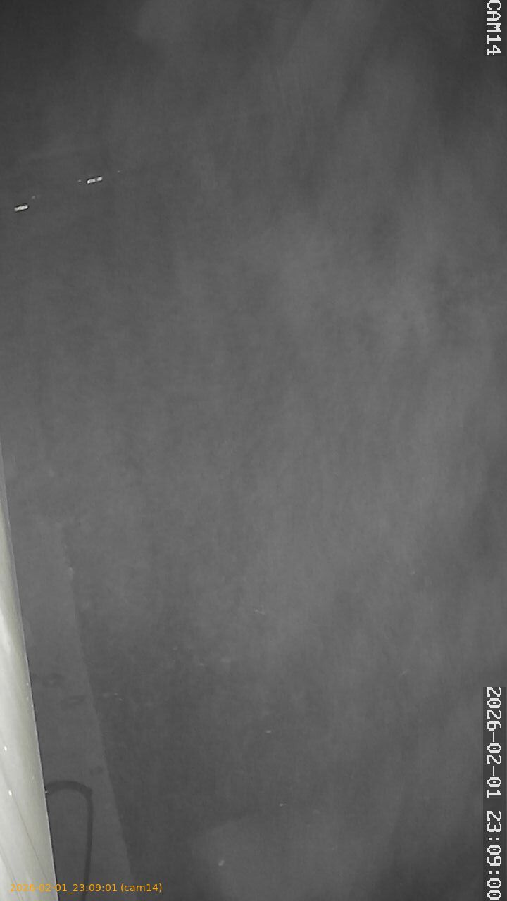 thumbnail_20260201230901