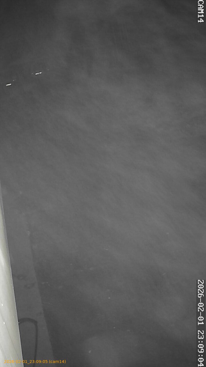 thumbnail_20260201230905